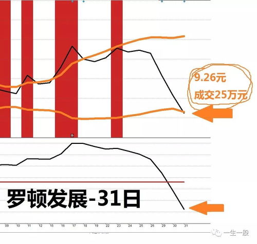 第05個測試日
