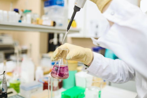 實驗室常見微生物污染該如何控制